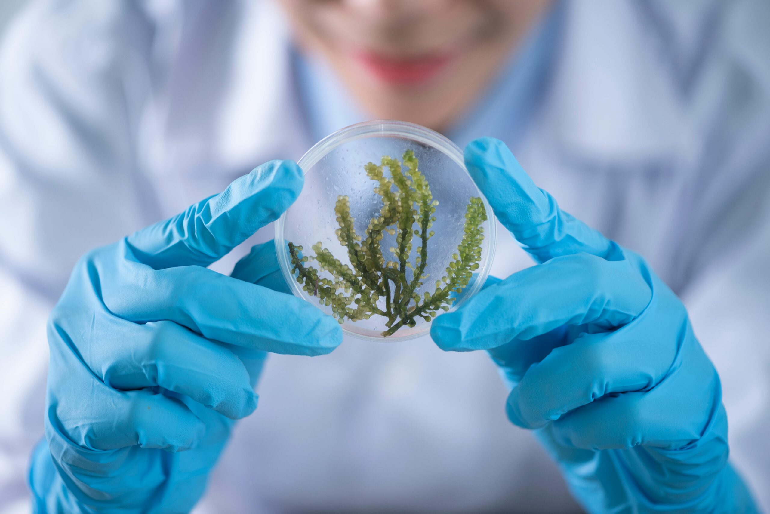 Top Life Sciences Compliance Software Solutions for 2025