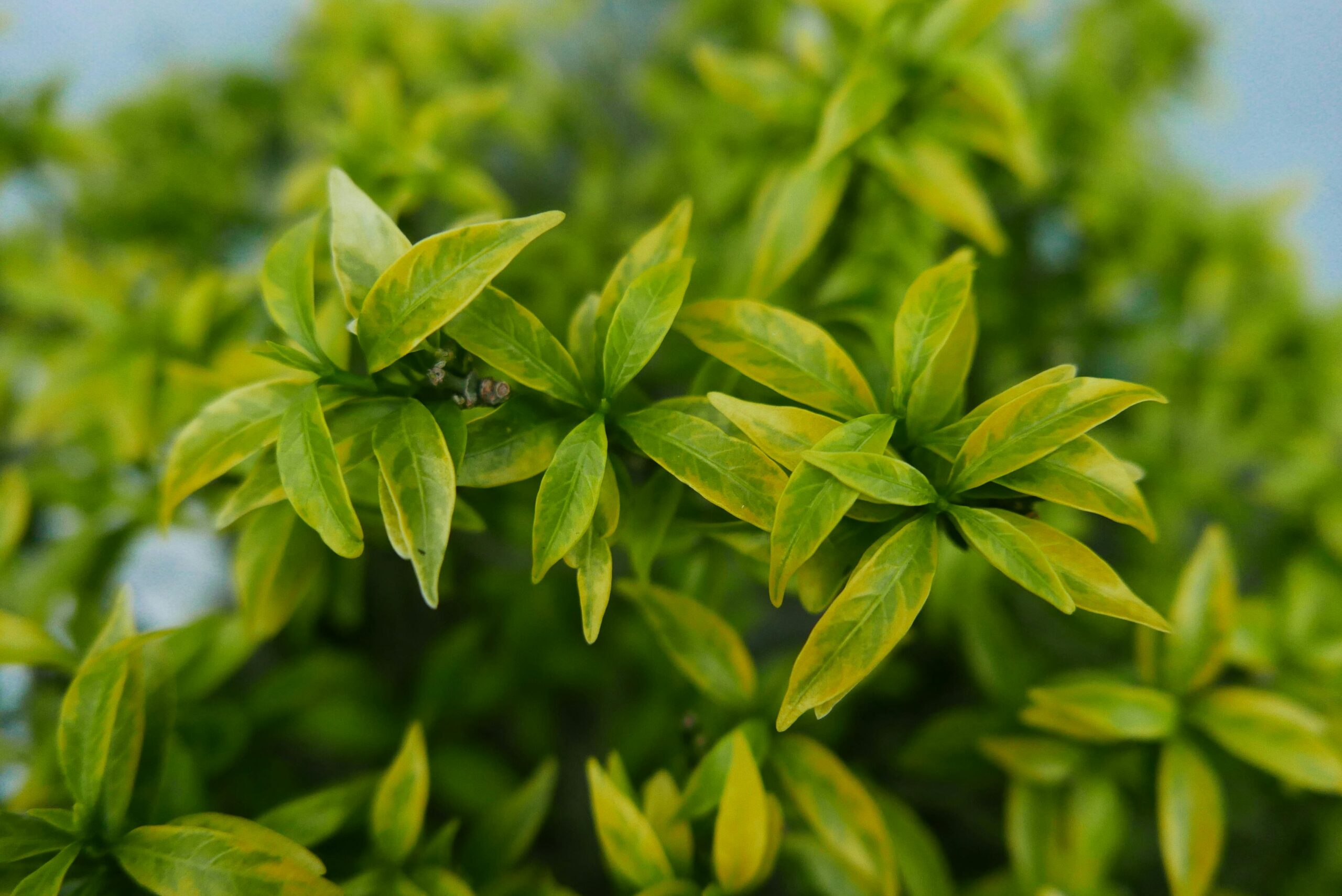 Best Environmental Compliance Management Softwares